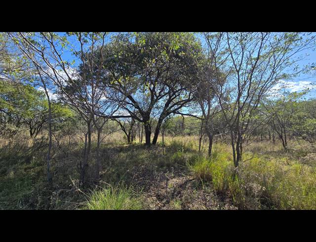 8.80HA VACANT LAND FOR SALE IN BELA BELA RURAL